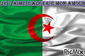 123 viva algerie