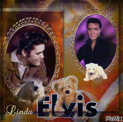 kdo pour tous les amateurs D,Elvis ♥♥♥