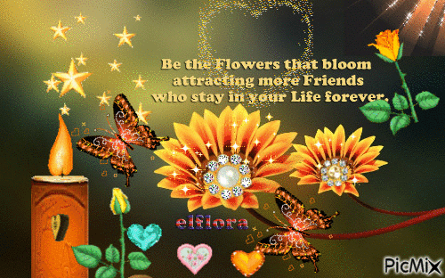 'Flowers
