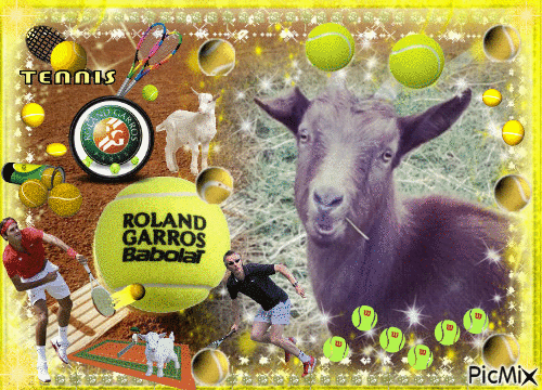 les chèvres a Roland Garros - Δωρεάν κινούμενο GIF
