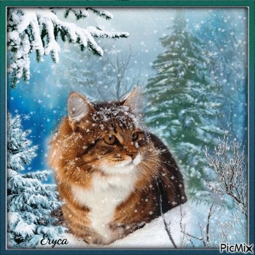 Chat sous la neige - Free animated GIF