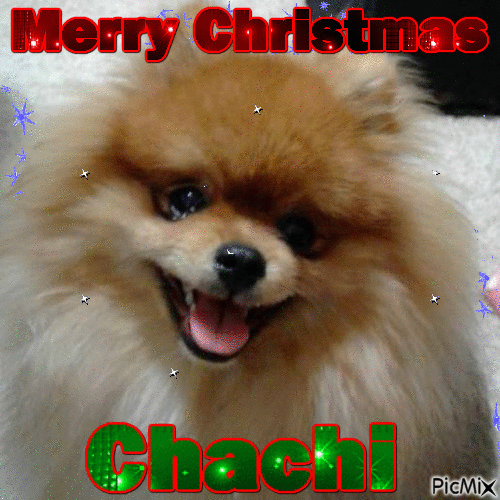 Chachi - Animovaný GIF zadarmo