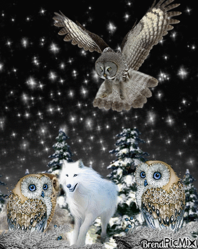 winter owl - GIF animate gratis