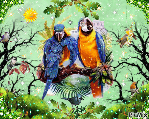 le printemps des oiseaux - 無料のアニメーション GIF