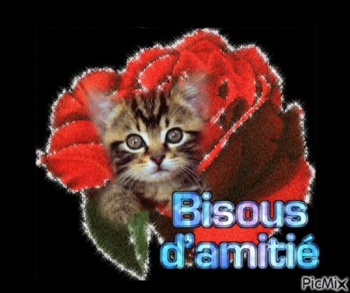 bisous d'amitié - Бесплатный анимированный гифка
