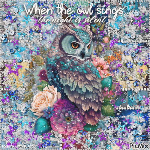 When the owl sings, the night is silent. - Animovaný GIF zadarmo