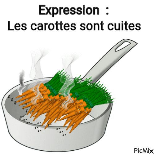 Expression 1 : Les carottes sont cuites - GIF animé gratuit