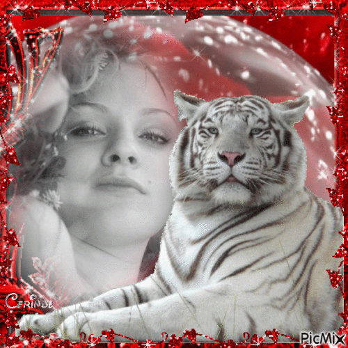 femme et tigre en rouge et blanc - Бесплатный анимированный гифка