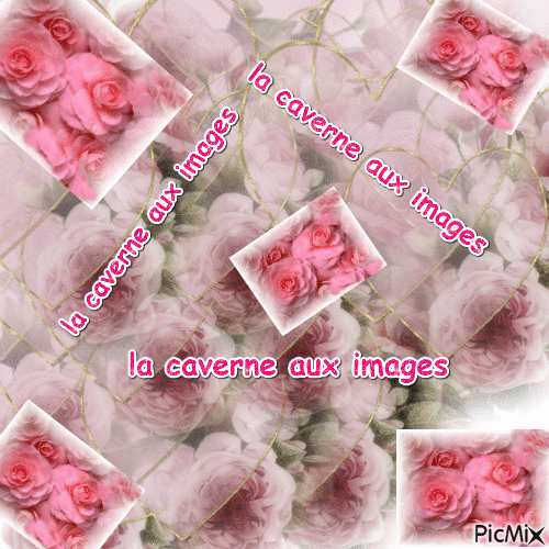 amour de roses - GIF animé gratuit