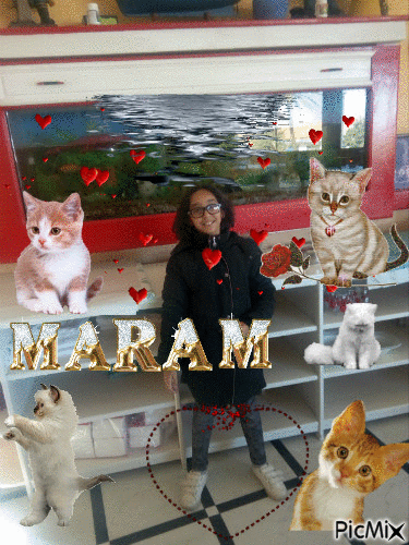 maram adore les chats - GIF animé gratuit