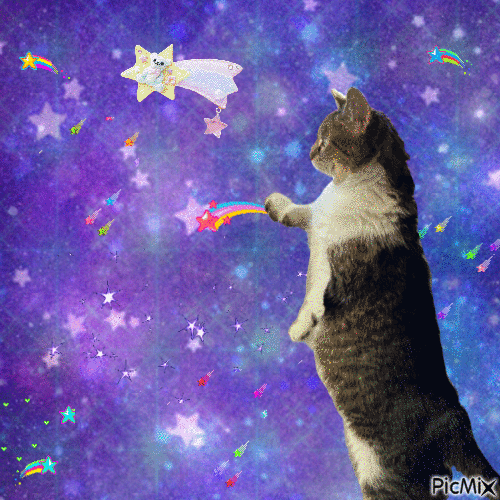 Space Spot - Free animated GIF
