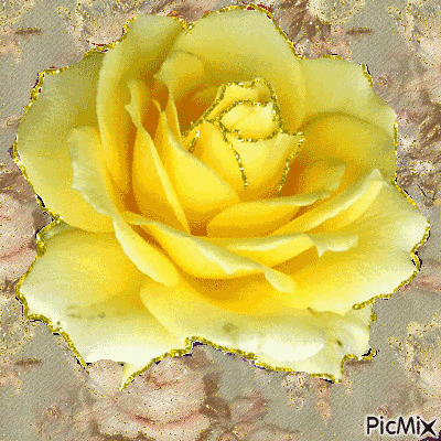 Yellow roses on gold and silver - Free animated GIF