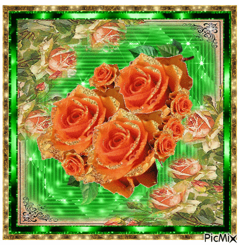 Orange roses - Безплатен анимиран GIF