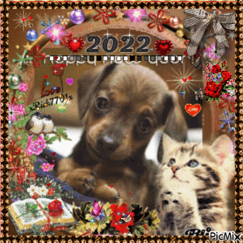 Praying Puppy and Kitty improved  6-17-22  by xRick7701x - GIF animé gratuit