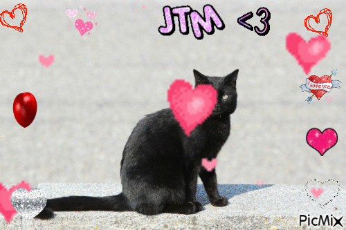 je t'aime mon chat... - Free animated GIF
