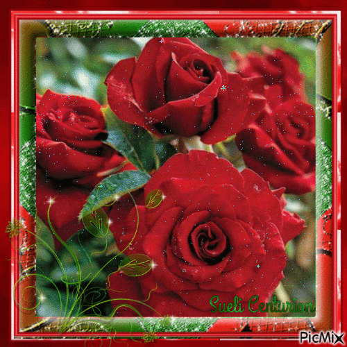 Rosas Vermelhas - Gratis animerad GIF