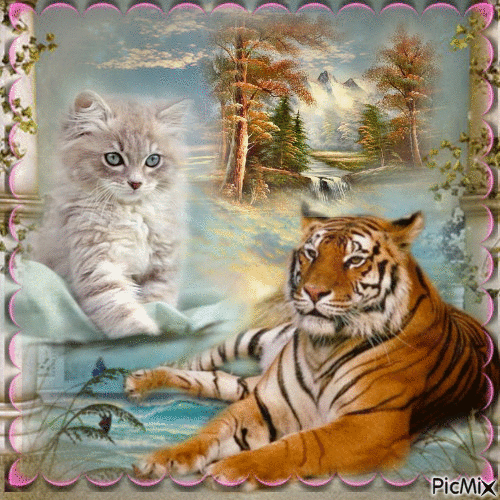 tigre et le chat - GIF animado gratis