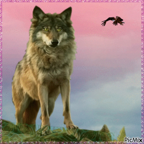 Wolf - Δωρεάν κινούμενο GIF