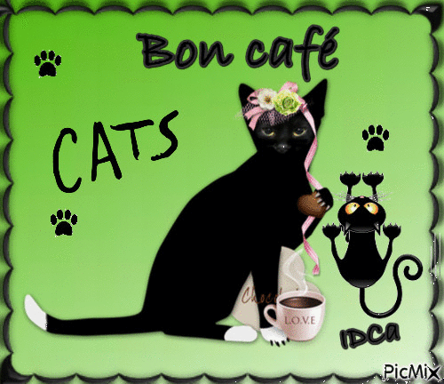 Bon café  les chatons - GIF animado gratis