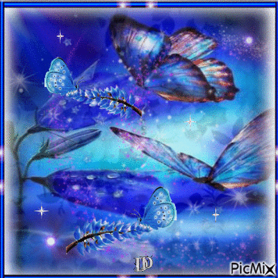 Beautiful Butterflies.. - GIF animé gratuit