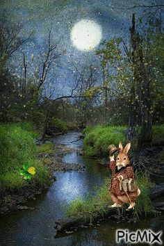 El conejo saluda - Бесплатни анимирани ГИФ