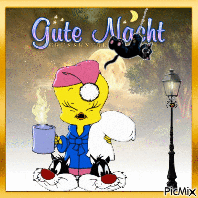 Gute Nacht - GIF animate gratis