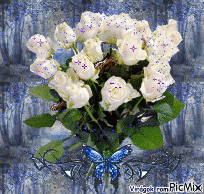 Fehér rózsa - Ilmainen animoitu GIF