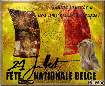 fete nationale belge - 免费动画 GIF