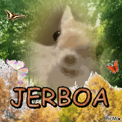 jerboa - Бесплатный анимированный гифка