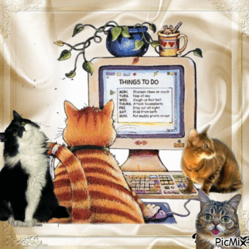 computer cats - GIF animado grátis
