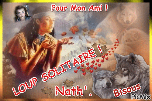 Pour Ami Loup Solitaire ! - Free animated GIF