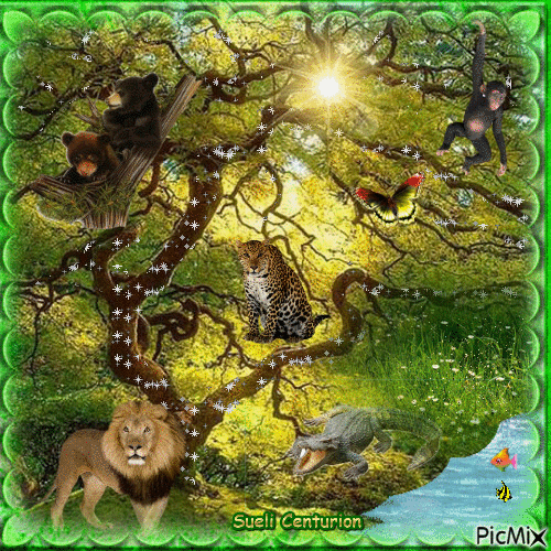 Floresta Encantada Imaginária - GIF animado grátis