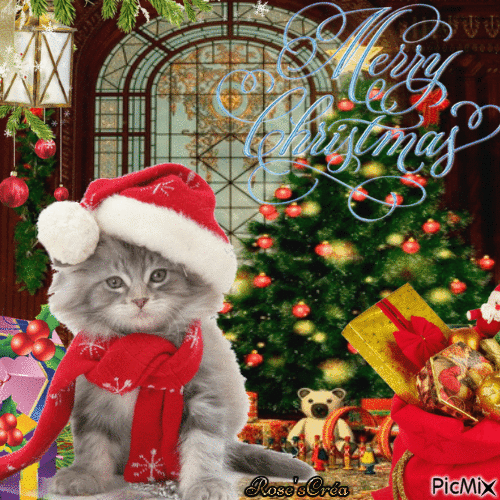 Concours : Chats de Noël - Free animated GIF