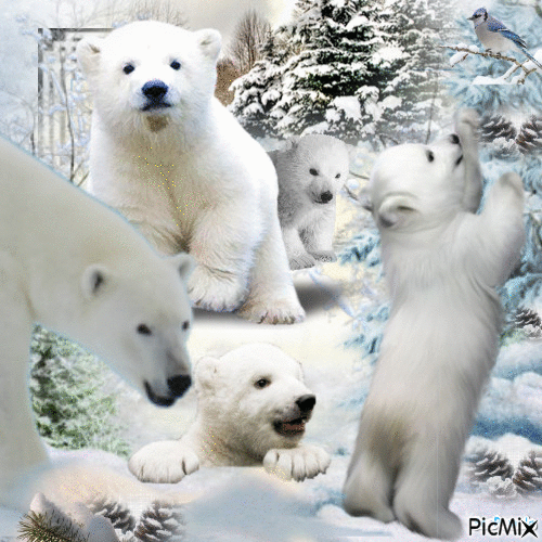 The bear and his cubs - Free animated GIF