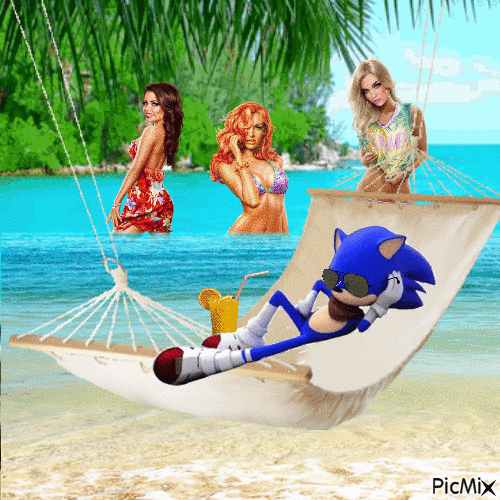 Sonic's Summer Vacation - GIF animado gratis