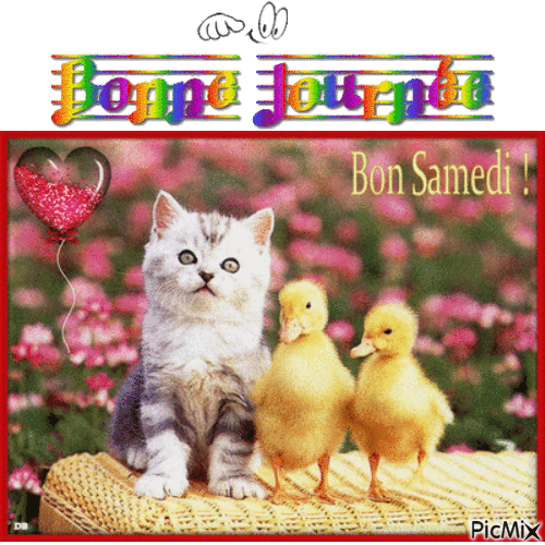 bon samedi - Δωρεάν κινούμενο GIF