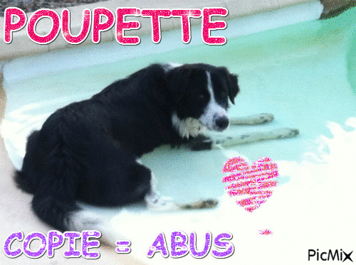 Poupette, mon chien ♥ - 免费动画 GIF