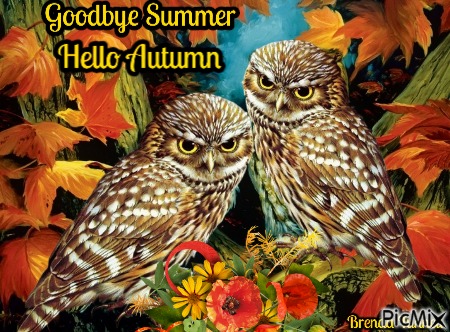 autumn owl - png ฟรี