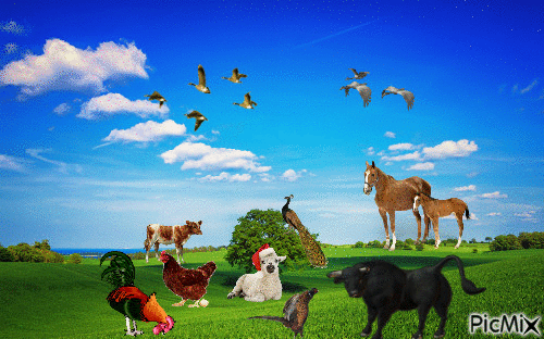 farm life - GIF animado gratis