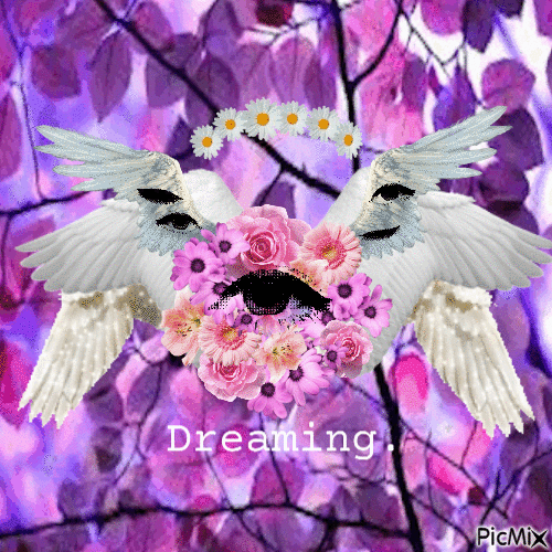 Dreaming. - Zdarma animovaný GIF