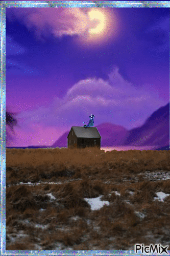 Night - Bezmaksas animēts GIF