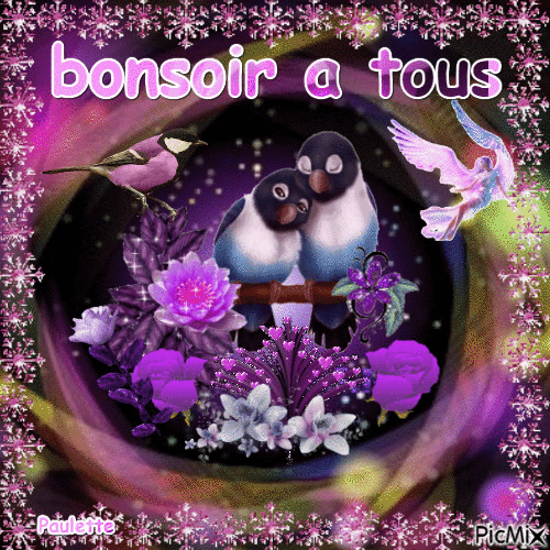 bonsoir a tous - Безплатен анимиран GIF