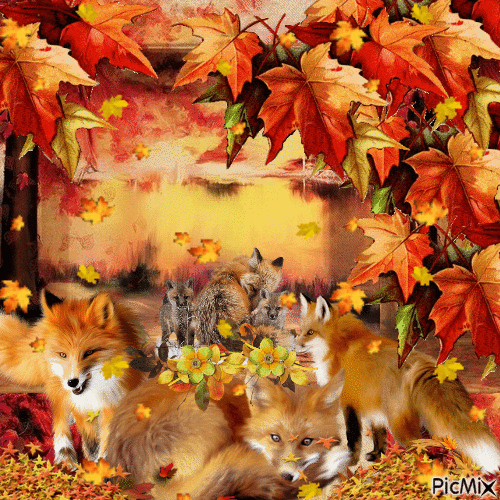 Le renard en l'automne - GIF animate gratis