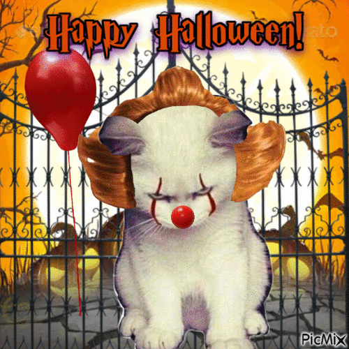 Cat dressed as Pennywise for Halloween - GIF animé gratuit