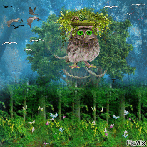 Wald - Gratis animerad GIF