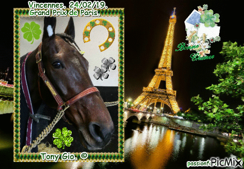Le champion Tony Gio. © - Darmowy animowany GIF