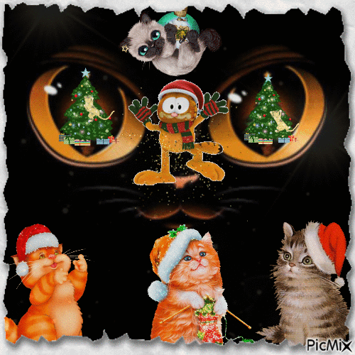 Gato divertido de Navidad - GIF animasi gratis