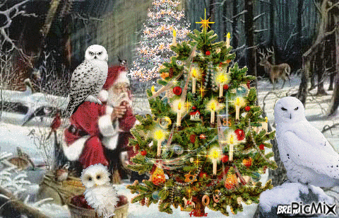 christmas owl - GIF animado gratis