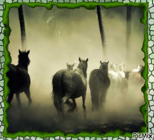 Cavalos na natureza - nemokama png