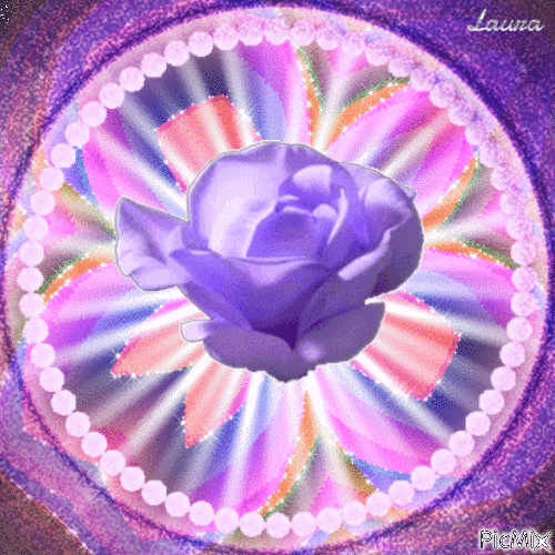 Rosa lilla - Laurachan - GIF animado gratis
